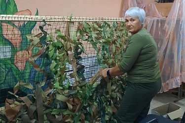 Никто не остается в стороне